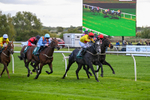 171026-Race 5-Brighton Boy-5968