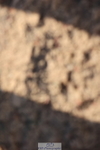 240629A-182020-09266