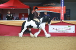 SBM_09620