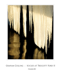 Icicles atTrescott Ford II