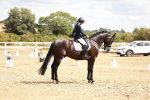 SBM_009486