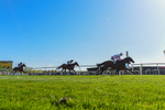 220426-Race 6-Aberama Gold-0780