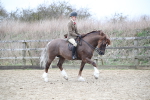 SBM_006302