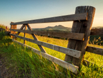 Eildon Gateway