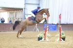 SBM_010727