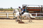 SBM_000890