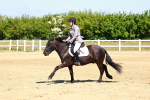 SBM_007366