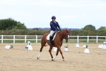 SBM_012815
