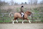 SBM_006014