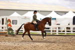 SBM_00557