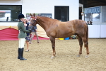 SBM_09809