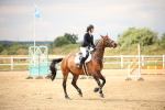 Class 5 - Senior Newcomers-1.10m Open 1st Rd portfolio