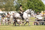 SBM_16094