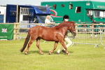 SBM_00443