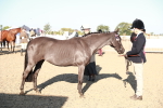 SBM_00085