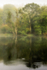 Autumn Mist