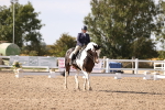 SBM_08010