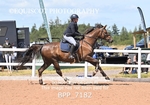 BPP_7182