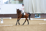 SBM_002809