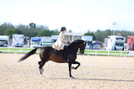 SBM_09154