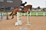 Cls 5 Foxhunter & 1.20m Open portfolio