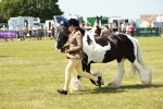 SBM_04219