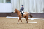 SBM_003831