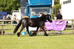 SBM_00886