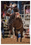 Rodeo Portfolio - Non Traditional 02