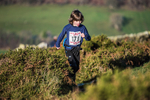 Sale Fell-78