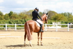 SBM_000546
