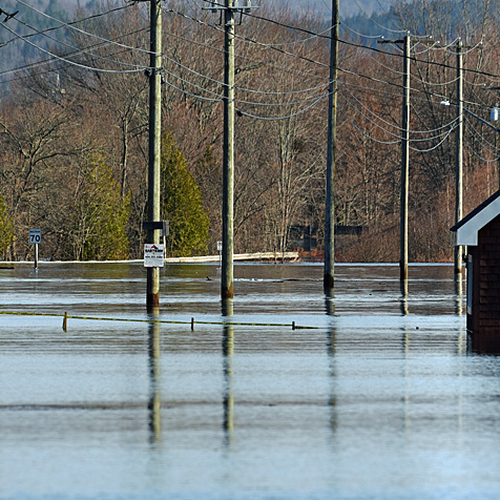A canoeist paddles down the main drag as an advert announces a mulch sale on May 12th.