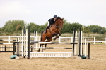 SBM_026262