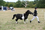 WJ6_5348