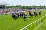 230526-Race 1-Lord Roxby-0283