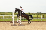 SBM_001186