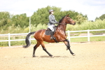 SBM_006207