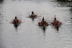 DRAGON BOAT RACE 10 July 2016 - 136 of 549