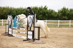 SBM_008877