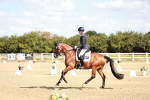 SBM_008878