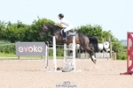 Cls 9 Pony Foxhunter and 1.10m Open portfolio