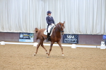 SBM_003113