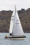 170924 GENESIS GBR6216Y 1Y3A3494
