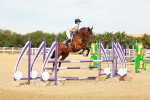 SBM_003495