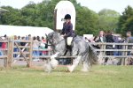 SBM_17160