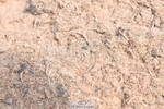 250620-105627-03147