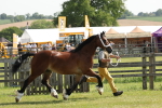 SBM_02215