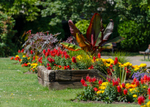 Graham Wiffen - Woodside Park - DSC_0012