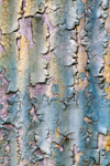 Pastel Paint Pattern