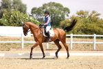 SBM_007390